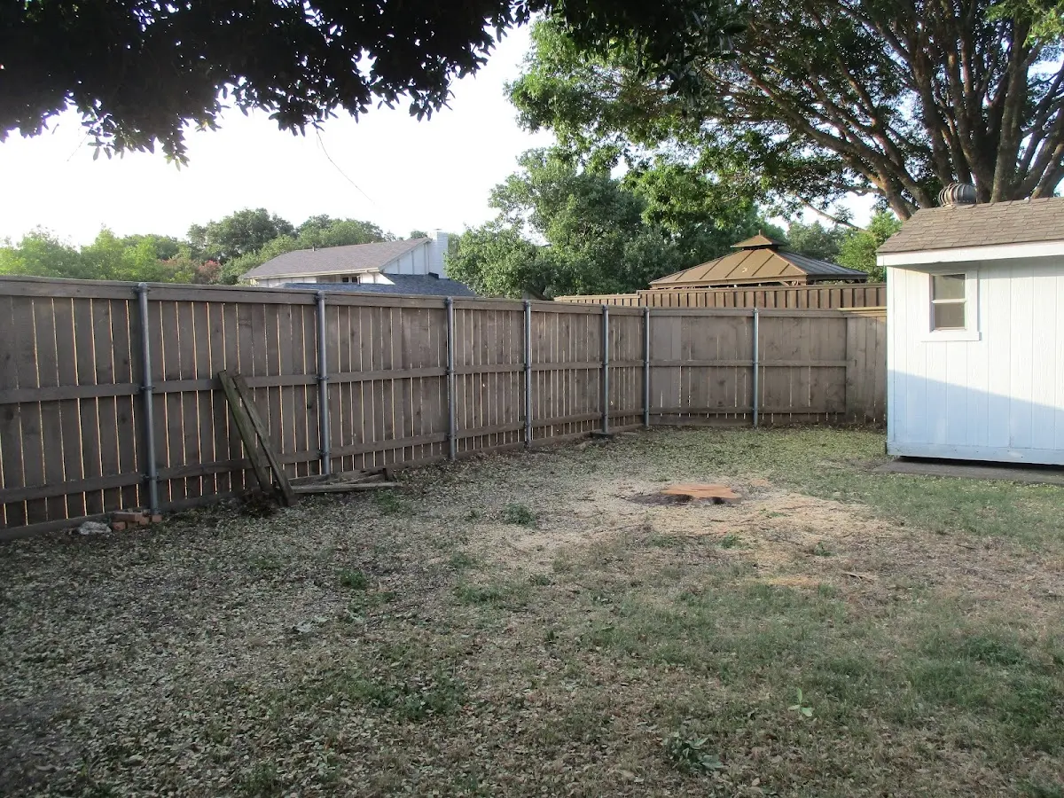 Cleared yard after professional tree removal in Millstadt
